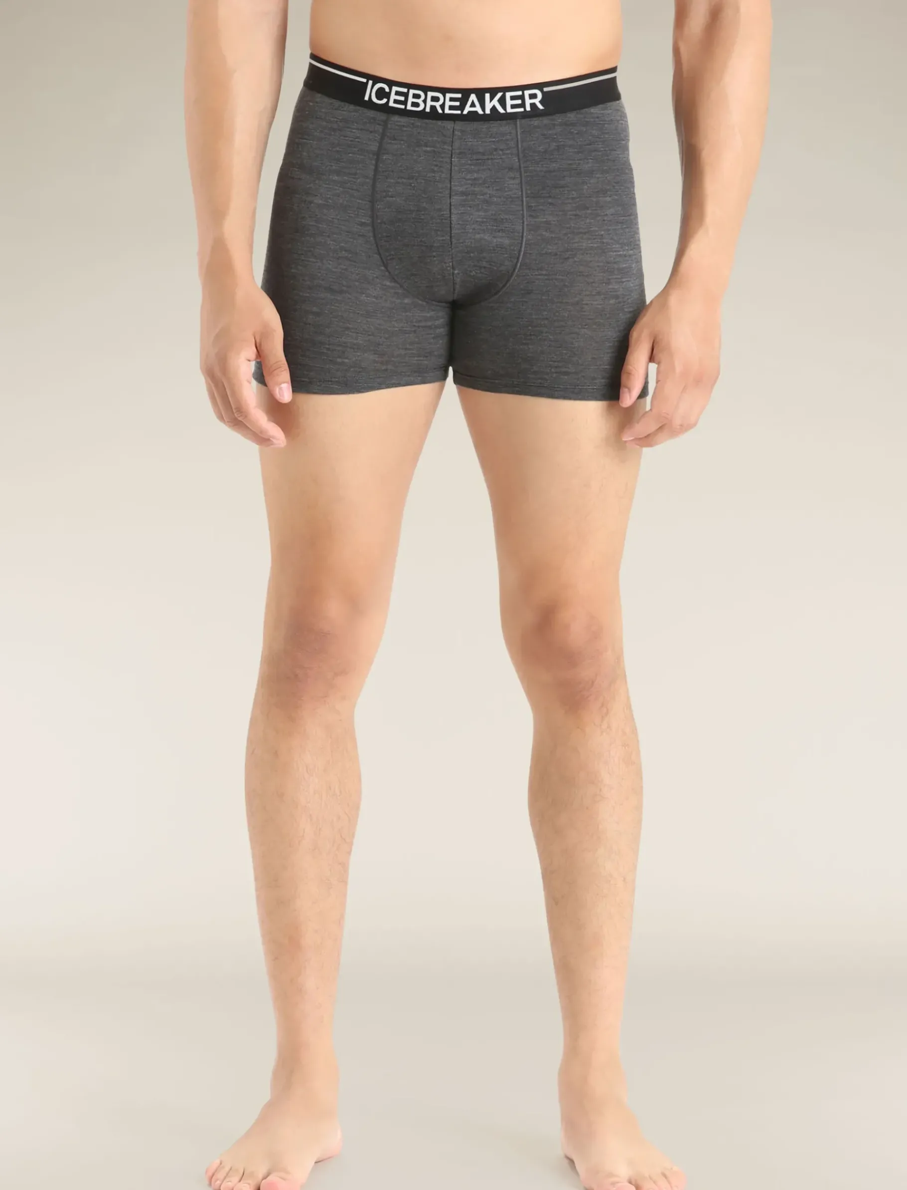 Herren Icebreaker Unterwäsche^Merino Anatomica Boxershorts Herren