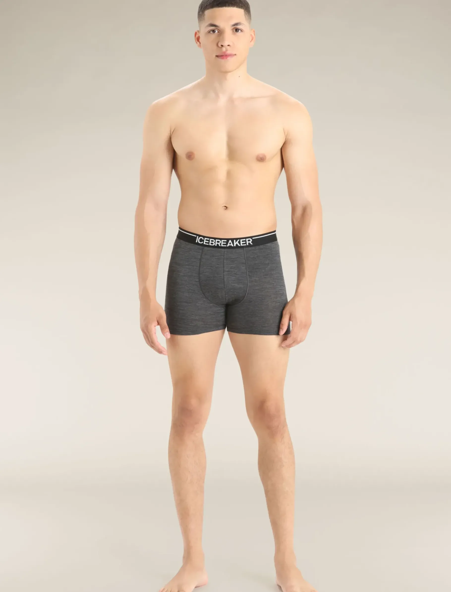 Herren Icebreaker Unterwäsche^Merino Anatomica Boxershorts Herren