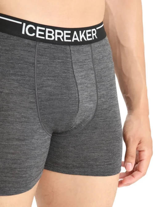 Herren Icebreaker Unterwäsche^Merino Anatomica Boxershorts Herren