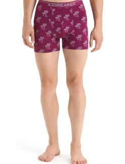 Herren Icebreaker Unterwäsche^Merino Anatomica Boxershorts Herren