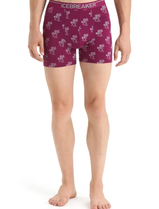 Herren Icebreaker Unterwäsche^Merino Anatomica Boxershorts Herren
