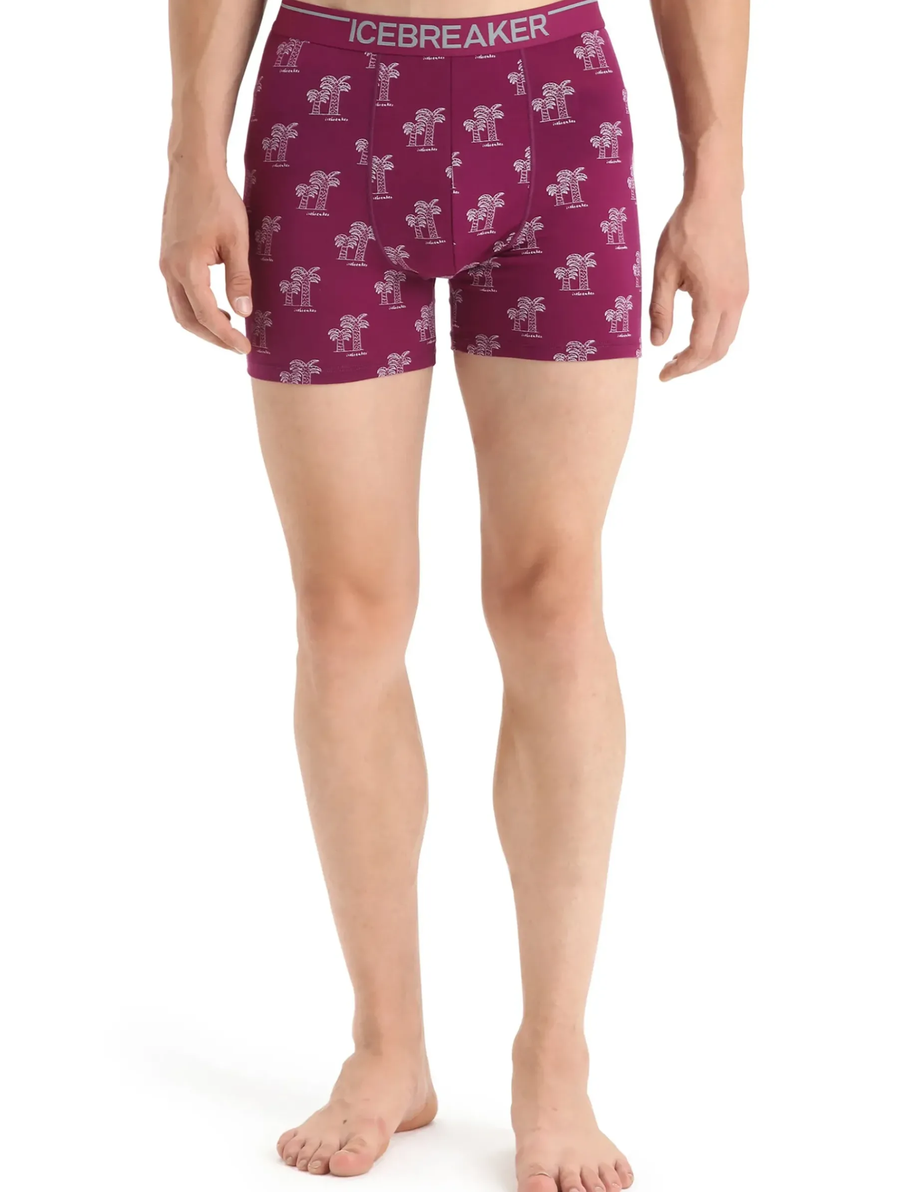 Herren Icebreaker Unterwäsche^Merino Anatomica Boxershorts Herren