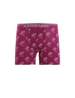 Herren Icebreaker Unterwäsche^Merino Anatomica Boxershorts Herren