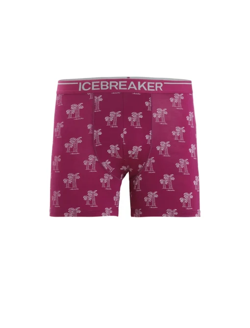Herren Icebreaker Unterwäsche^Merino Anatomica Boxershorts Herren