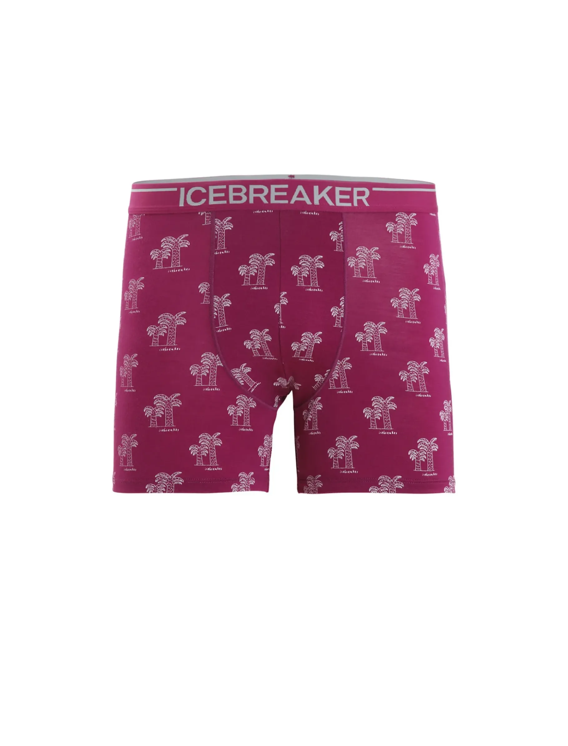 Herren Icebreaker Unterwäsche^Merino Anatomica Boxershorts Herren