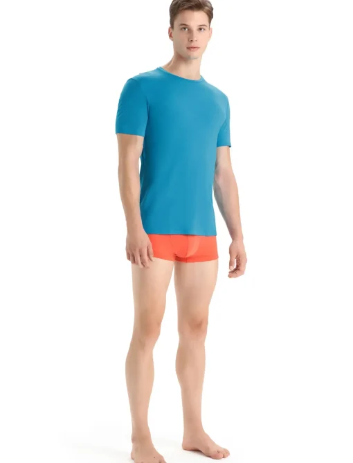 Herren Icebreaker Kurzarmshirts^Merino Anatomica T-Shirt Herren