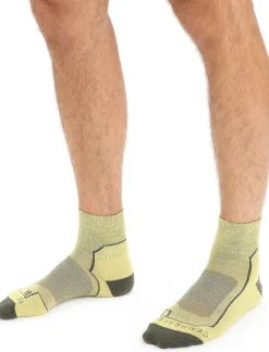 Herren Icebreaker Socken^Merino Hike+ Light Socken Mini Herren