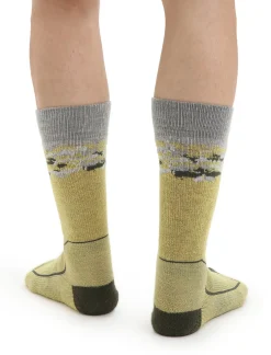 Herren Icebreaker Socken^Merino Hike+ Medium Socken Crew Sedimentary Herren