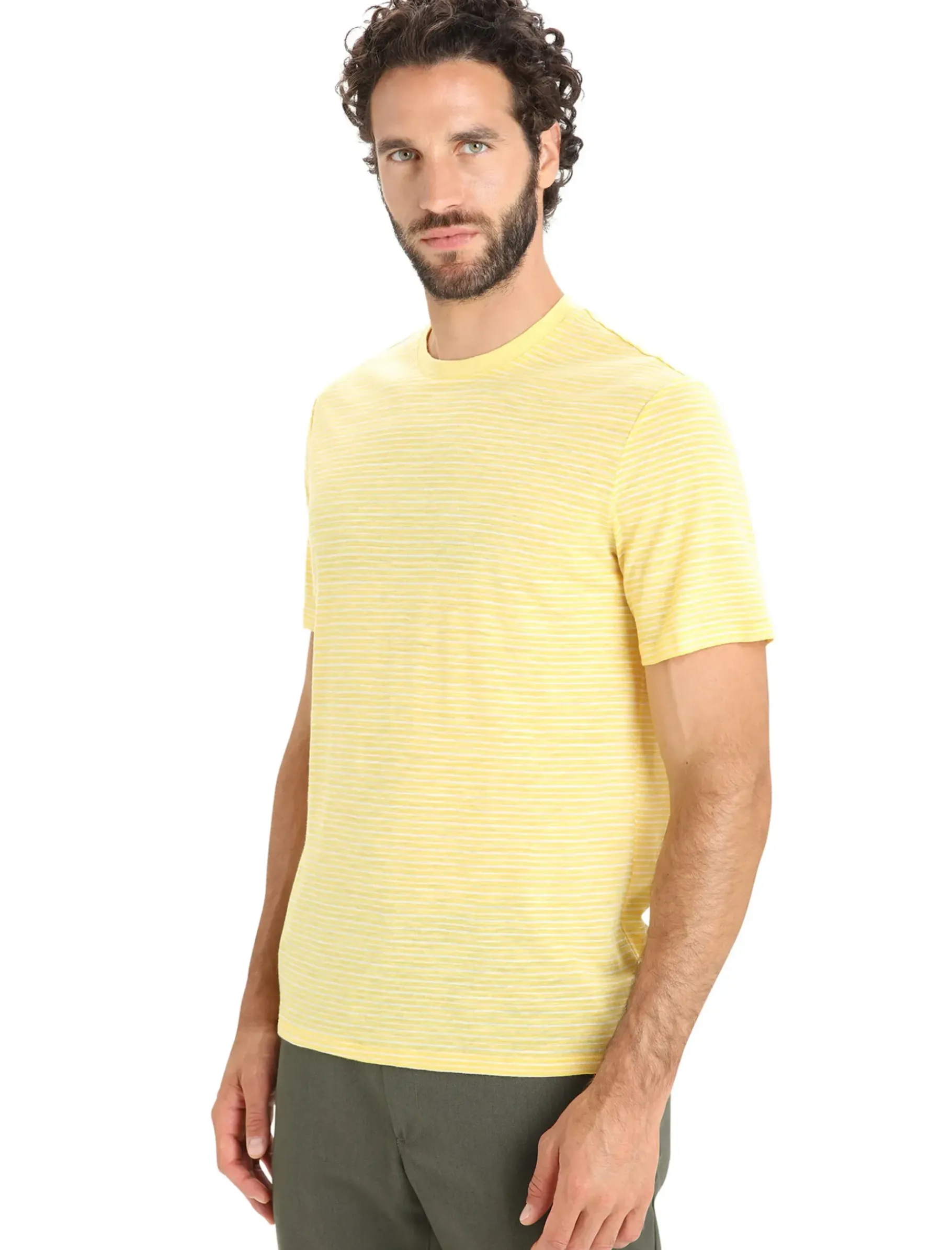 Herren Icebreaker Kurzarmshirts^Merino Leinen T-Shirt Stripe Herren