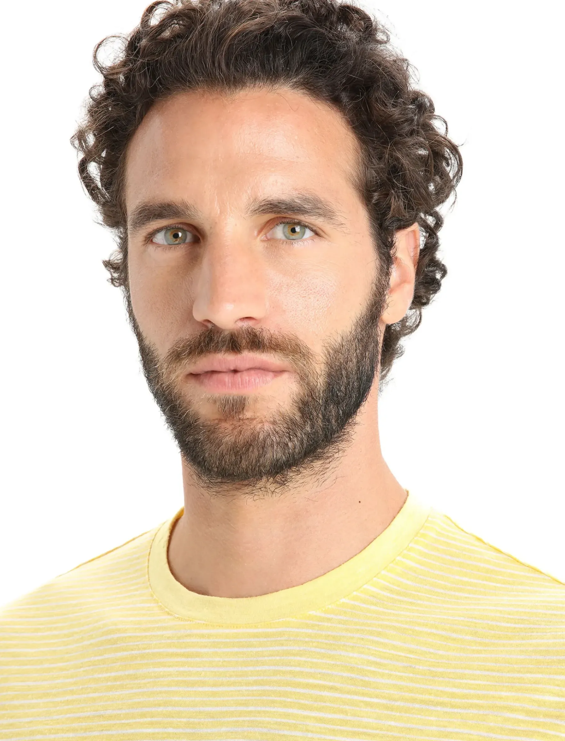 Herren Icebreaker Kurzarmshirts^Merino Leinen T-Shirt Stripe Herren