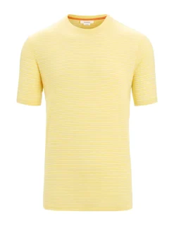Herren Icebreaker Kurzarmshirts^Merino Leinen T-Shirt Stripe Herren