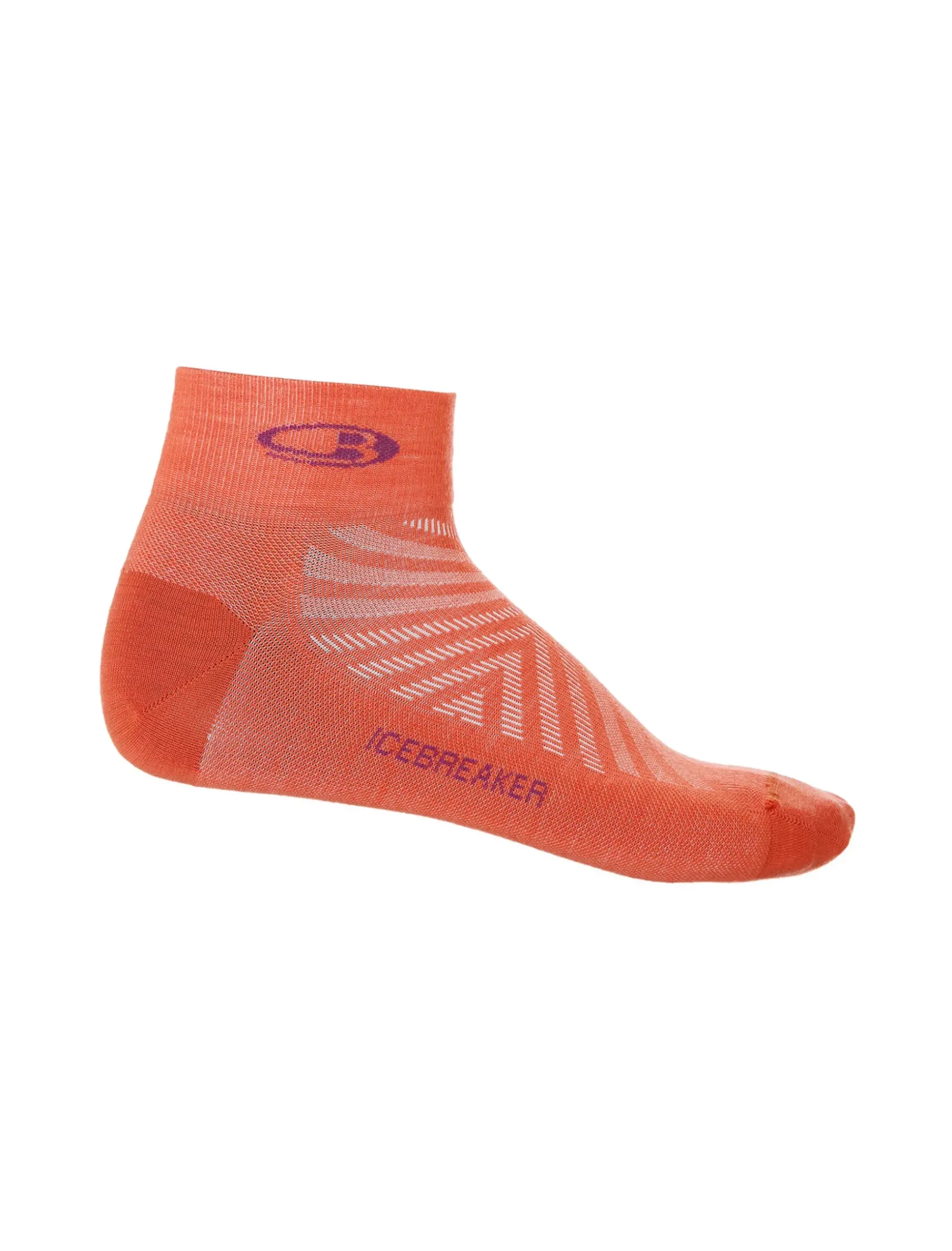 Herren Icebreaker Socken^Merino Run+ Ultralight Socken Mini Herren