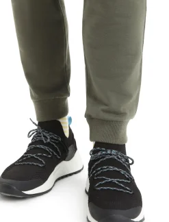 Herren Icebreaker Hosen & Leggings^Merino Shifter Hose Herren