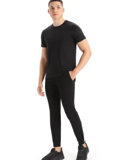 Herren Icebreaker Kurzarmshirts^Merino Sphere Ii T-Shirt Herren