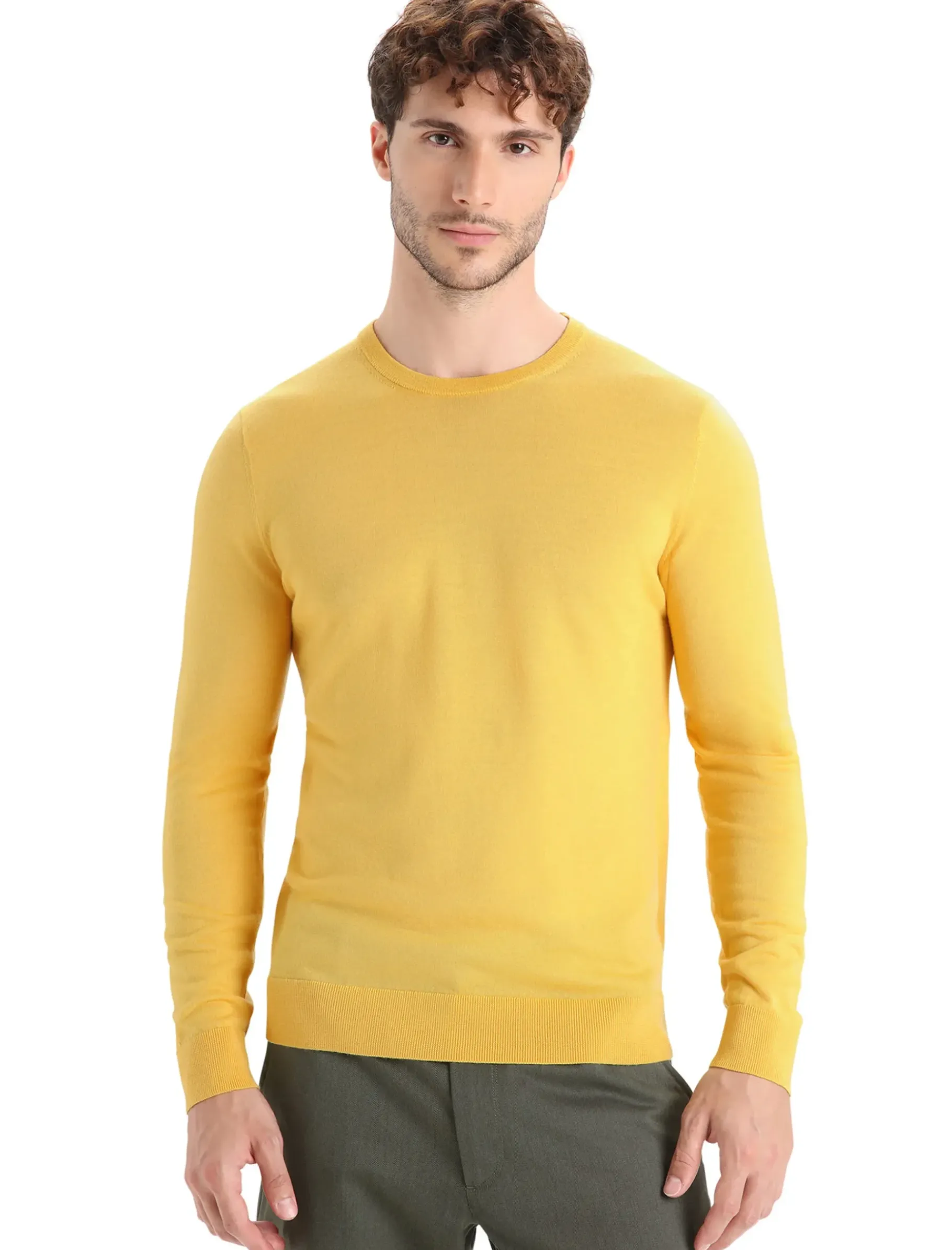 Herren Icebreaker Strickwaren^Merino Wilcox Sweater Herren