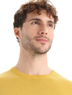 Herren Icebreaker Strickwaren^Merino Wilcox Sweater Herren